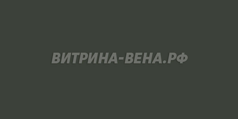 цвет RAL 6006