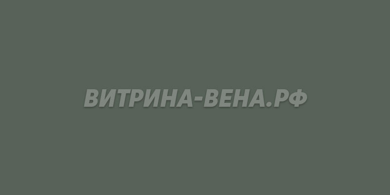цвет RAL 7009