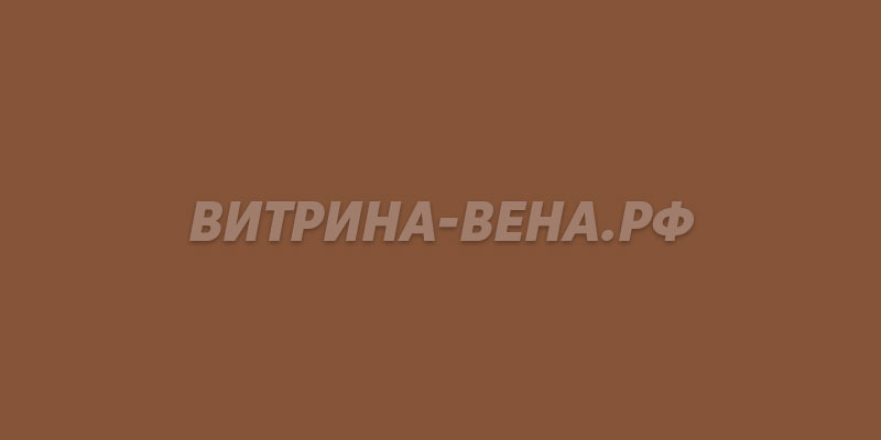 цвет RAL 8024