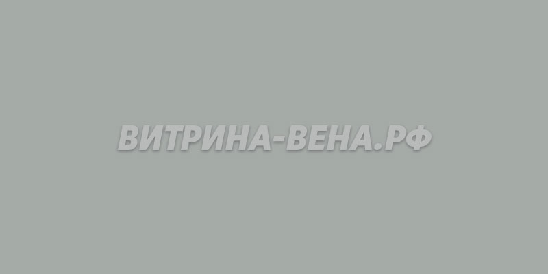 цвет RAL 9006